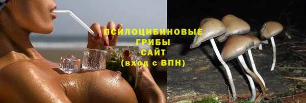 a pvp Арсеньев