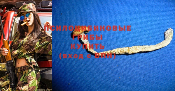 a pvp Арсеньев
